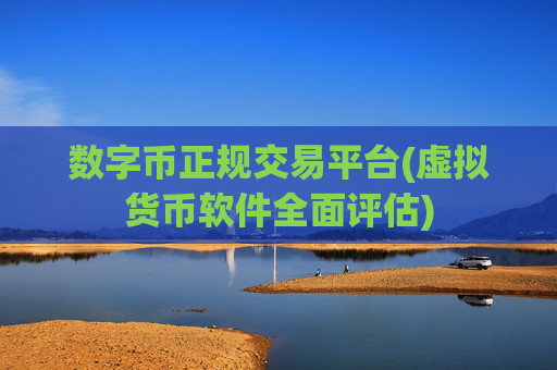 数字币正规交易平台(虚拟货币软件全面评估)
