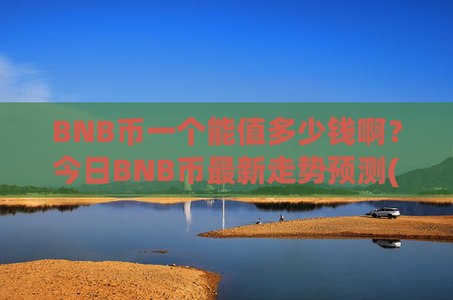 BNB币一个能值多少钱啊？今日BNB币最新走势预测(现价4738.9元)