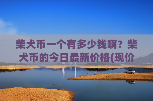 柴犬币一个有多少钱啊？柴犬币的今日最新价格(现价0.00014732元)