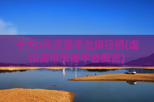 十大u币交易平台排行榜(虚拟货币交易平台概览)