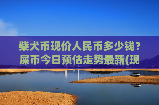 柴犬币现价人民币多少钱？屎币今日预估走势最新(现价0.00014216元)
