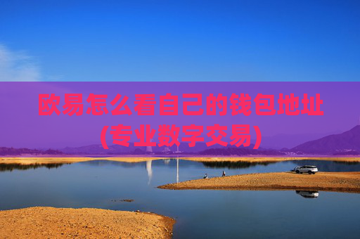 欧易怎么看自己的钱包地址(专业数字交易)