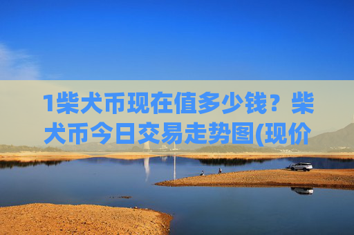 1柴犬币现在值多少钱?柴犬币今日交易走势图(现价0.00014473元)