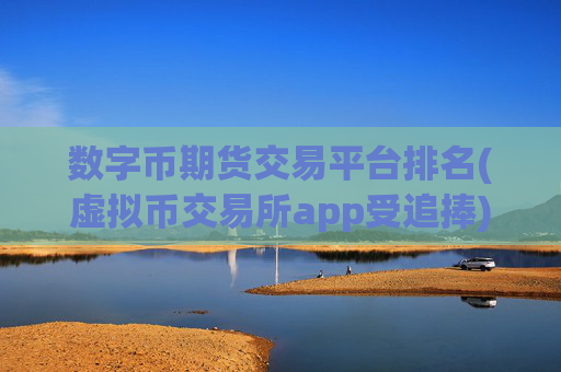 数字币期货交易平台排名(虚拟币交易所app受追捧)