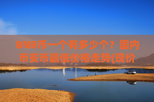BNB币一个有多少个？国内币安币最低价格走势(现价4796.43元)