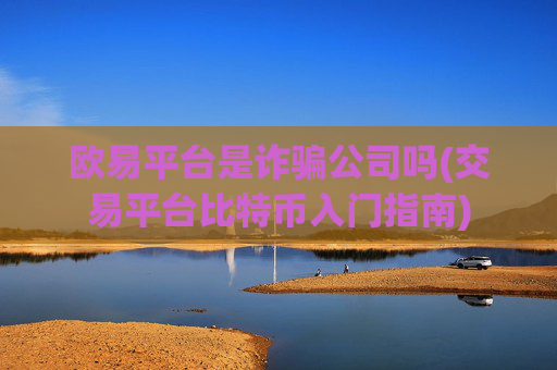 欧易平台是诈骗公司吗(交易平台比特币入门指南)