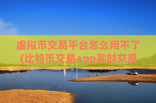虚拟币交易平台怎么用不了(比特币交易app实时交易)