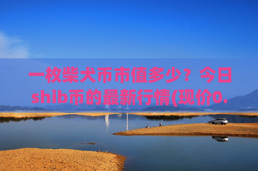 一枚柴犬币市值多少？今日shib币的最新行情(现价0.00015408元)