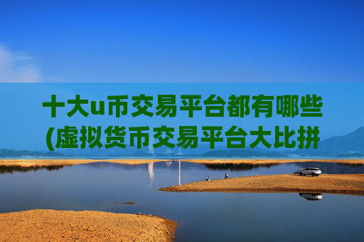 十大u币交易平台都有哪些(虚拟货币交易平台大比拼)