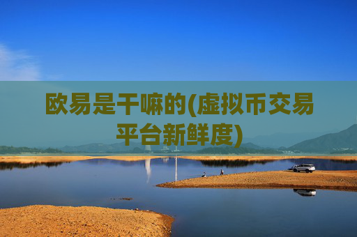 欧易是干嘛的(虚拟币交易平台新鲜度)