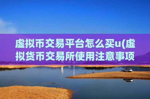 虚拟币交易平台怎么买u(虚拟货币交易所使用注意事项)