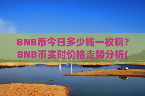 BNB币今日多少钱一枚啊？BNB币实时价格走势分析(现价4829.83元)