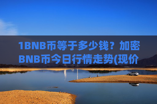 1BNB币等于多少钱？加密BNB币今日行情走势(现价4859.32元)