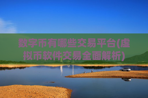 数字币有哪些交易平台(虚拟币软件交易全面解析)