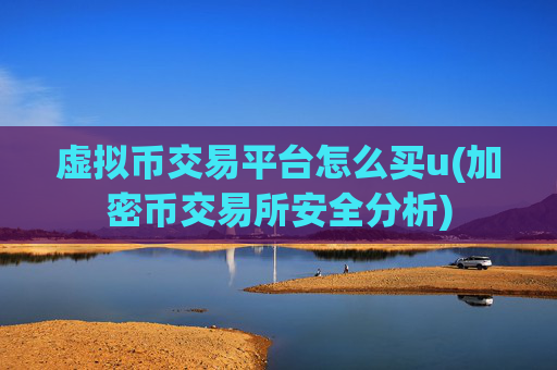 虚拟币交易平台怎么买u(加密币交易所安全分析)