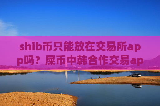 shib币只能放在交易所app吗？屎币中韩合作交易app下载