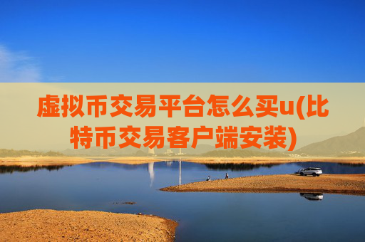 虚拟币交易平台怎么买u(比特币交易客户端安装)