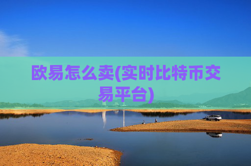 欧易怎么卖(实时比特币交易平台)