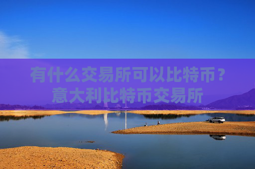 有什么交易所可以比特币？意大利比特币交易所