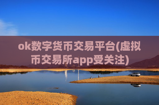 ok数字货币交易平台(虚拟币交易所app受关注)