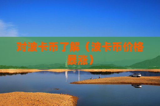 对波卡币了解（波卡币价格暴涨）