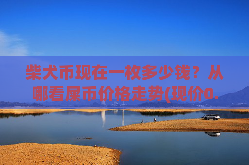 柴犬币现在一枚多少钱？从哪看屎币价格走势(现价0.00014484元)