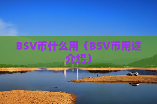 BSV币什么用（BSV币用途介绍）
