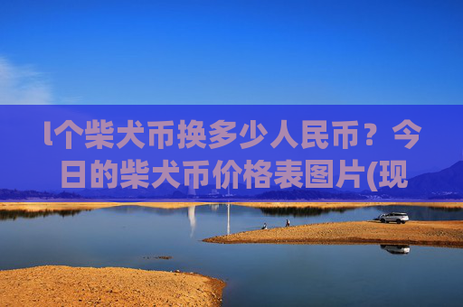 l个柴犬币换多少人民币？今日的柴犬币价格表图片(现价0.0001479元)