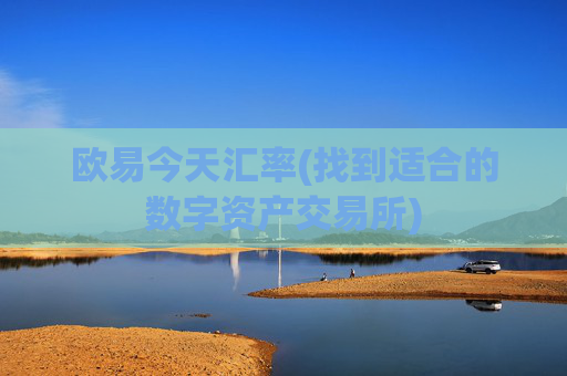 欧易今天汇率(找到适合的数字资产交易所)