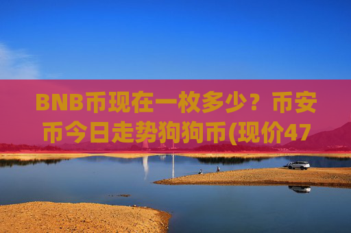BNB币现在一枚多少？币安币今日走势狗狗币(现价4778.11元)