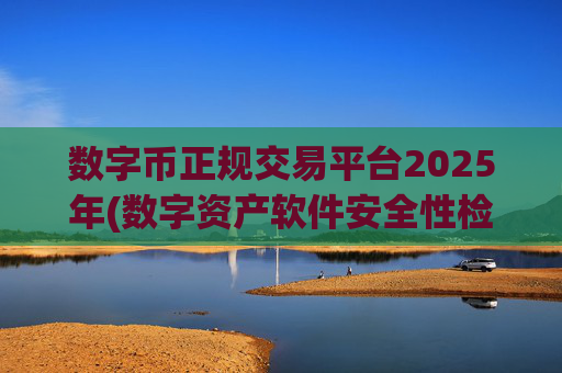 数字币正规交易平台2025年(数字资产软件安全性检测)