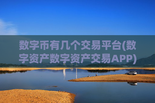 数字币有几个交易平台(数字资产数字资产交易APP)