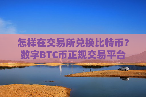 怎样在交易所兑换比特币？数字BTC币正规交易平台