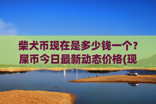 柴犬币现在是多少钱一个？屎币今日最新动态价格(现价0.00014606元)
