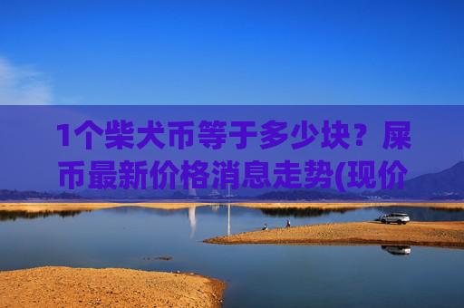 1个柴犬币等于多少块？屎币最新价格消息走势(现价0.00013919元)