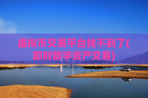 虚拟币交易平台找不到了(即时数字资产交易)