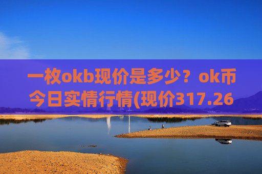 一枚okb现价是多少？ok币今日实情行情(现价317.261元)