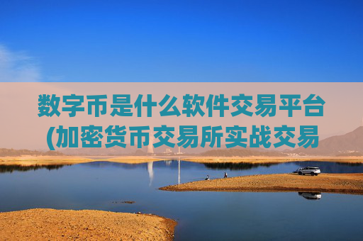 数字币是什么软件交易平台(加密货币交易所实战交易指南)