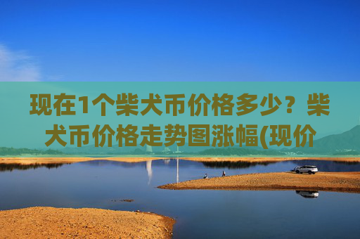 现在1个柴犬币价格多少？柴犬币价格走势图涨幅(现价0.00015646元)