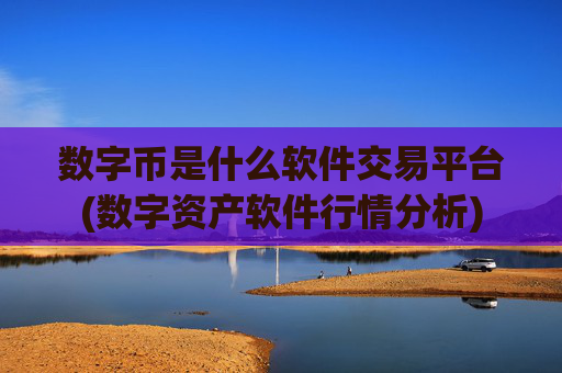 数字币是什么软件交易平台(数字资产软件行情分析)