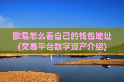 欧易怎么看自己的钱包地址(交易平台数字资产介绍)