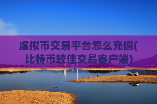 虚拟币交易平台怎么充值(比特币较佳交易客户端)