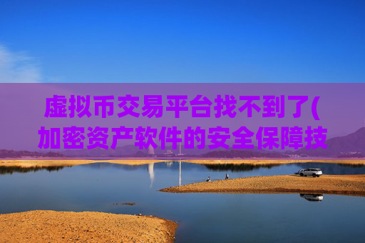 虚拟币交易平台找不到了(加密资产软件的安全保障技术)