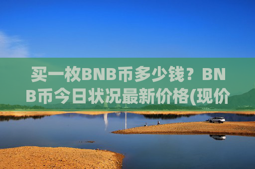 买一枚BNB币多少钱？BNB币今日状况最新价格(现价4793.18元)
