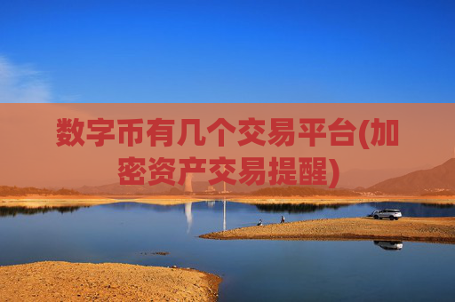 数字币有几个交易平台(加密资产交易提醒)