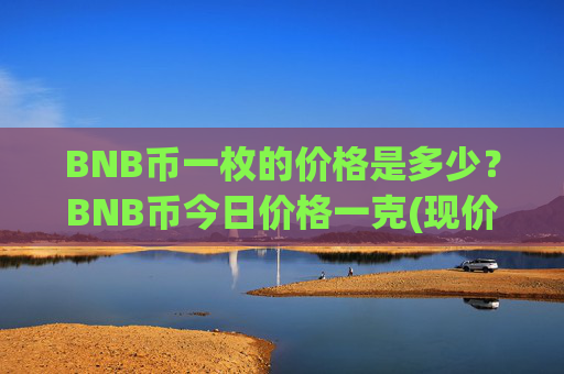 BNB币一枚的价格是多少？BNB币今日价格一克(现价4754.12元)