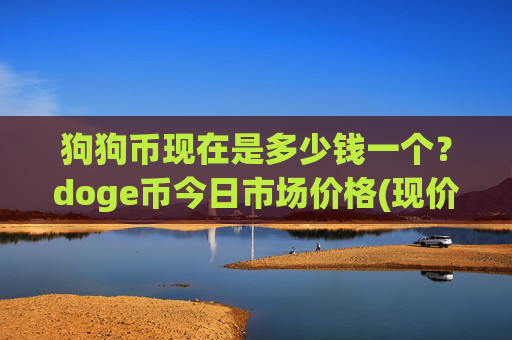 狗狗币现在是多少钱一个？doge币今日市场价格(现价2.1918元)