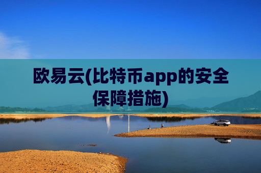 欧易云(比特币app的安全保障措施)