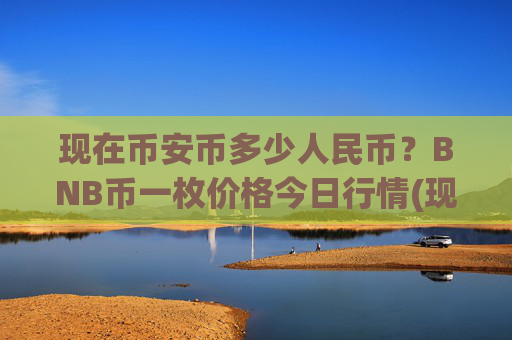 现在币安币多少人民币？BNB币一枚价格今日行情(现价4788.46元)