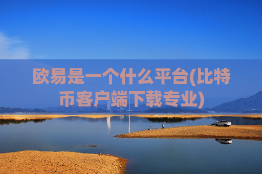 欧易是一个什么平台(比特币客户端下载专业)